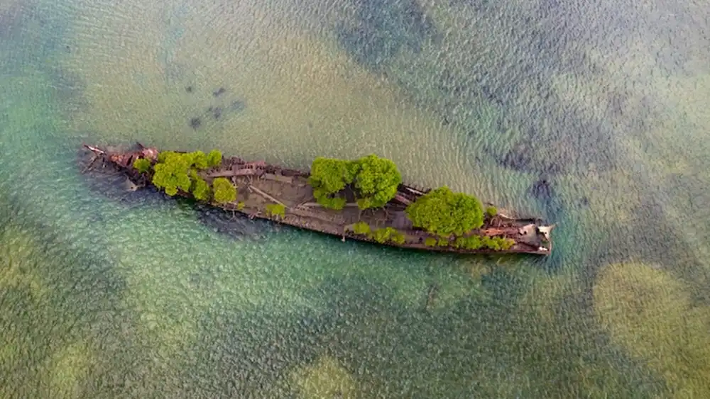 Photo of Un barco náufrago se convirtió en una reserva natural