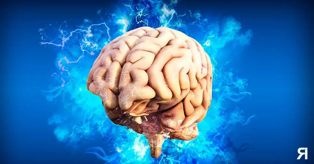 Photo of Los efectos en el cerebro por ver pornografía