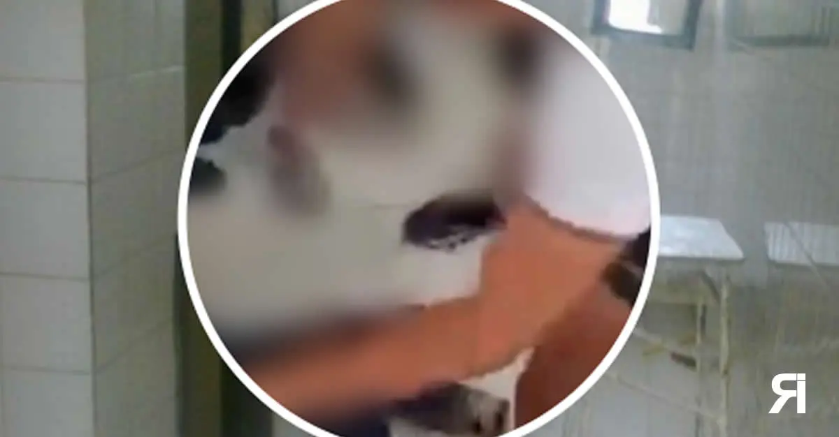 Photo of Horror en Salta: seis jóvenes violaron a un compañero con retraso madurativo