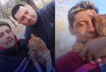 Photo of De Río Gallegos a Salta: Perdió su gatita en Río Colorado y un bombero ayudo a encontrarla