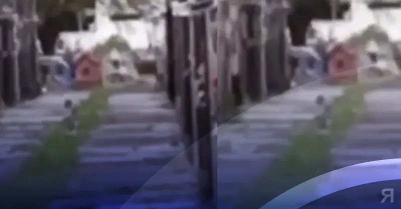 Photo of Video: grabaron a un supuesto bebé fantasma en un cementerio