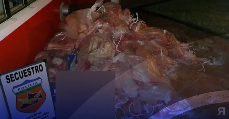 Photo of Policía de Choele Choel secuetra casi una tonelada de carne vacuna proveniente de Río Colorado