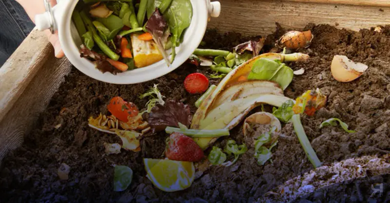 Photo of Compost en casa: cómo hacerlo y por qué es bueno para el medio ambiente