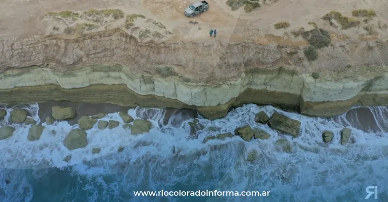 Photo of El Camino de la Costa invita a disfrutar el avistaje de fauna marina y costera