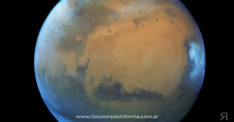 Photo of El rover Perseverance de la NASA encontró muestras orgánicas en Marte
