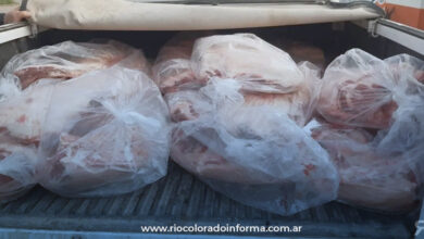 Photo of Río Colorado: Llevaba 360 kilos de carne en el baúl de la camioneta