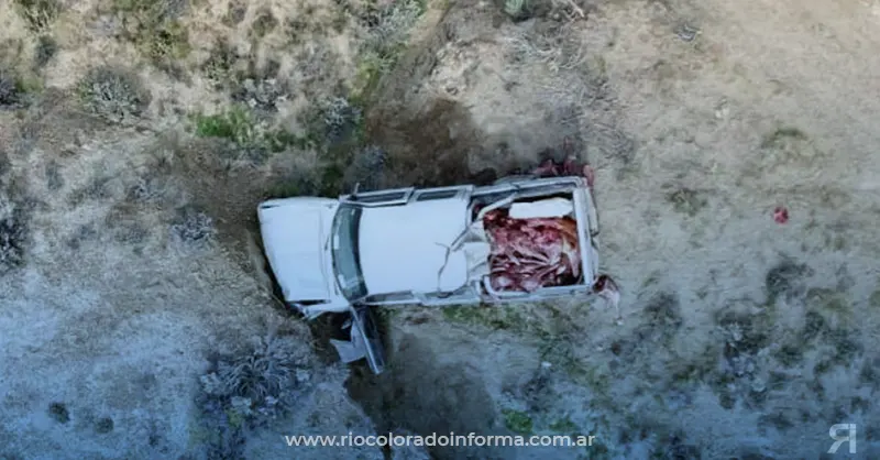Photo of El dueño de una carnicería volcó en la Ruta 3: llevaba carne de guanaco y caballo en la caja de la camioneta