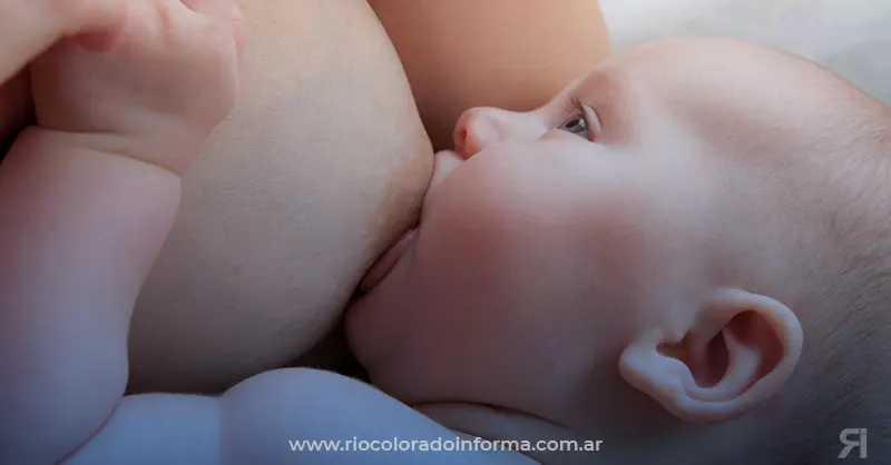 Photo of La leche materna de vacunadas contra el Covid transfiere inmunidad a bebés