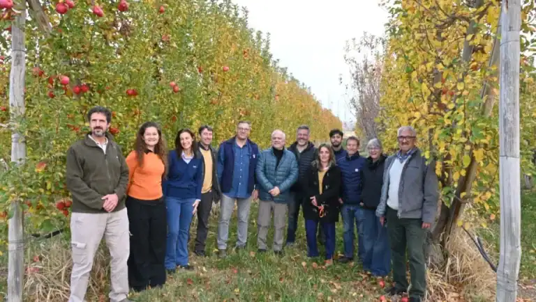 Agricultura “generativa”: el INTA impulsa prácticas sustentables en la producción de peras y manzanas del Alto Valle