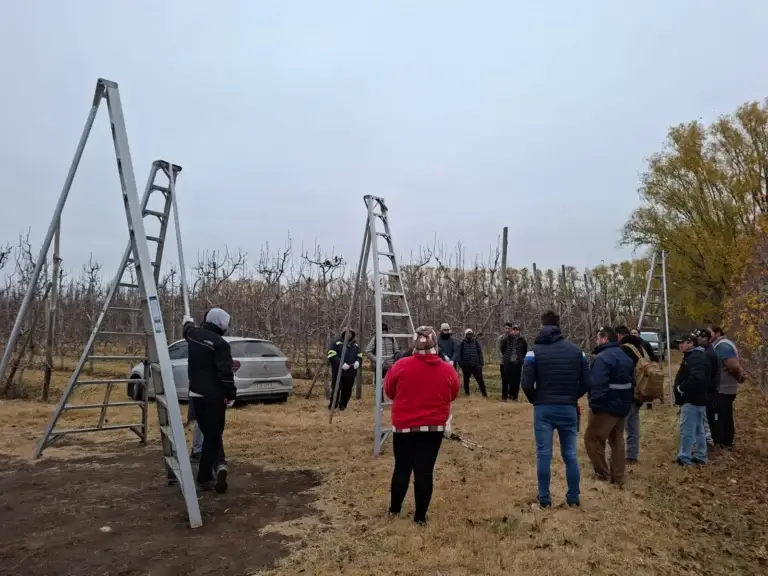 Más de 30 personas participan del Curso de Poda en Frutales que impulsa la producción en Río Colorado