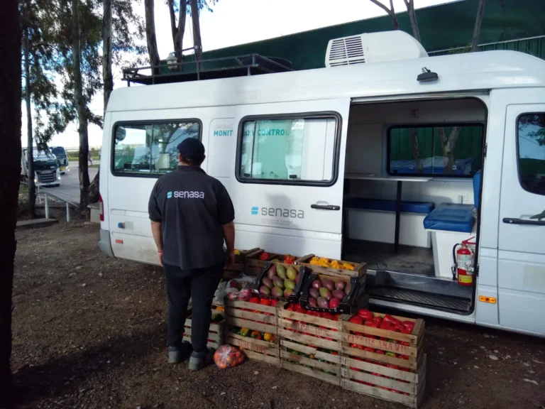 Se evitaron casi 85 toneladas de productos irregulares en el ingreso a la Patagonia durante el primer semestre