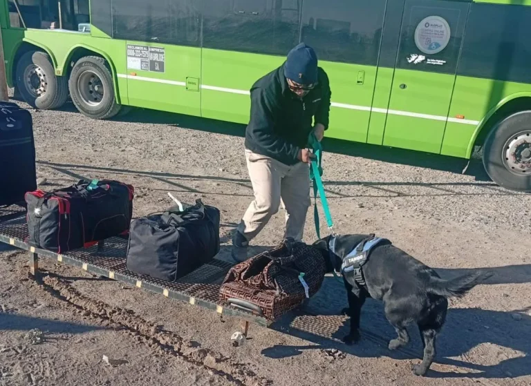 Patagonia región protegida: Atención viajeros por las vacaciones de invierno