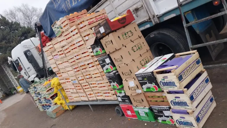SENASA decomisó casi 2.750 kilos de productos vegetales en el ingreso a la Patagonia por Río Colorado