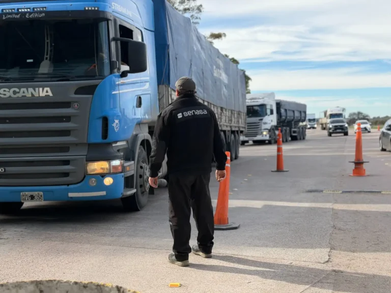 SENASA frenó el ingreso a la Patagonia de más de 3 toneladas de frutas y hortalizas