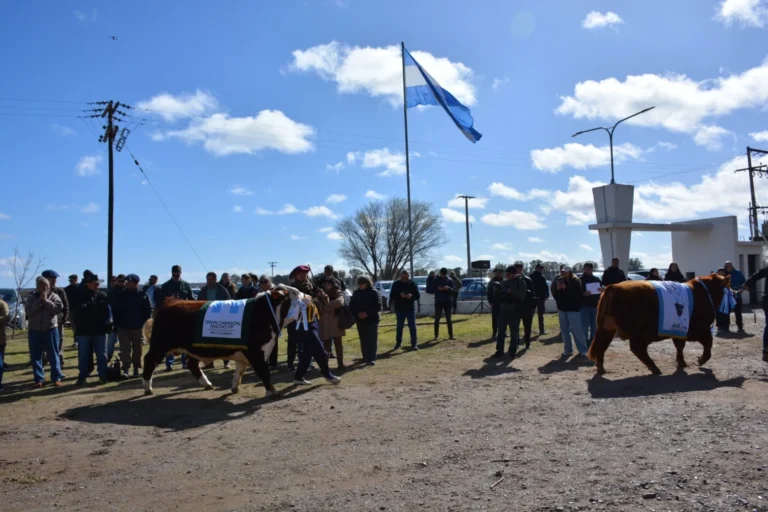 Río Colorado alcanzó un 94% de ocupación hotelera durante un fin de semana de gran movimiento
