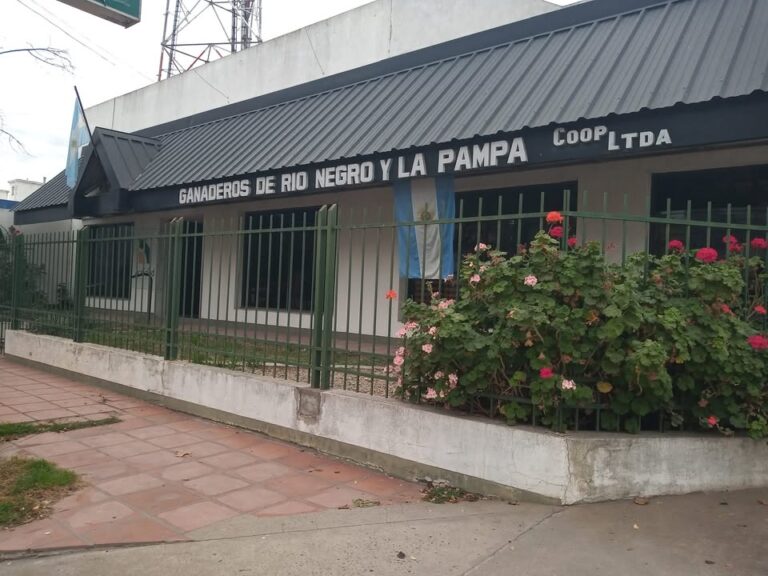 Para la Cooperativa de ganaderos la 49ª Exposición llega con mejores expectativas y el impulso de las lluvias
