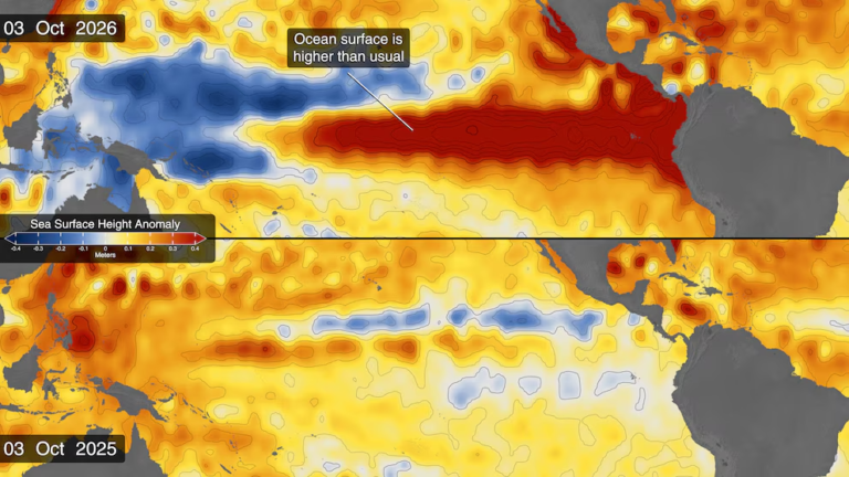 El Niño bajo vigilancia de la NASA: las señales del océano que anticipan cambios extremos en el clima