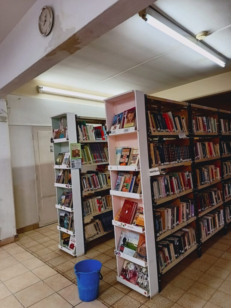 La lluvia volvió a afectar a la Biblioteca Popular Domingo Faustino Sarmiento