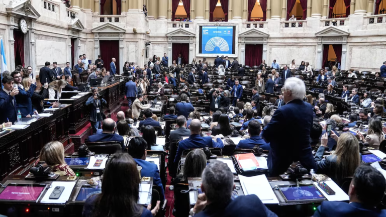 Diputados aprobó una nueva ley de discapacidad que mantiene las pensiones y la actualización por inflación